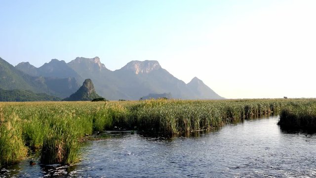 Limestone mountain with rock cliff with green forest and reed field on the vast wetland at Khao Sam Roi Yot National Park , Thailand
