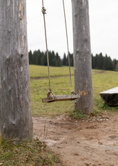 Empty wooden swing in flight on a forest background