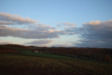 秋の日本国北海道の田舎の畑