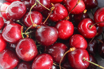 Fresh juicy cherries with small drops of water, fruit background