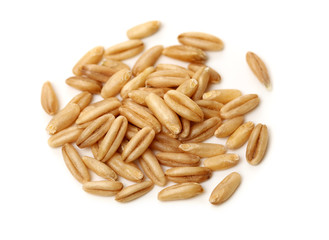Oat grains on a white background 