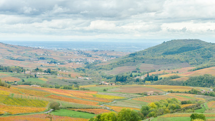 Fototapeta premium Le Beaujolais en automne