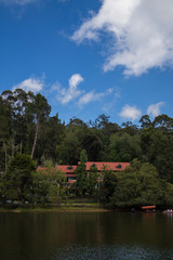 Obraz premium house in park