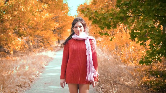 Attractive woman, walking on road wearing a sweater scarf and high leather boots. Bare slender legs. Looking at a camera with a smile on face. Fashion glamor girl. Enjoys autumn nature. Yellow tree