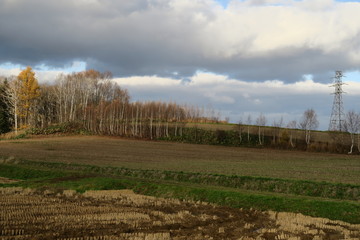 秋の日本国北海道の田舎の畑