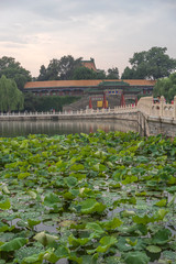 Fototapeta na wymiar Beihai Park is an imperial garden