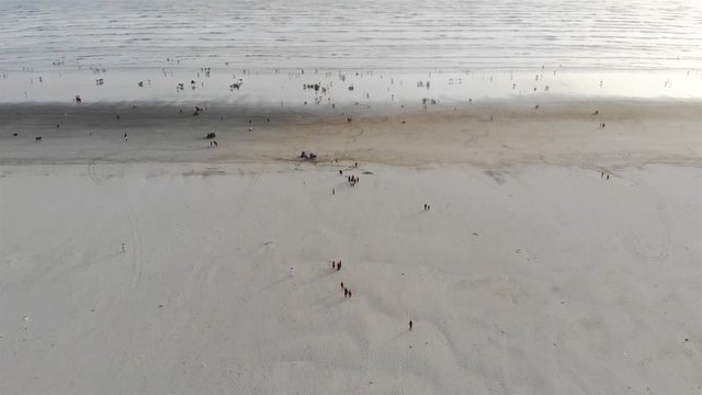 Sea View - Top Aerial View Of The Crowd Of Visitors On The Beach With A Beautiful Wave View - Dolly Fornt 