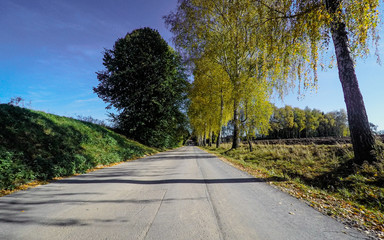 Fototapeta na wymiar cycling series: autumn road
