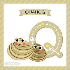Letter Q uppercase tracing. Quahog