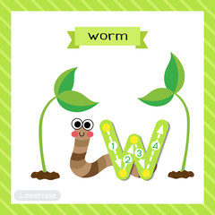 Letter W lowercase tracing. Happy Worm