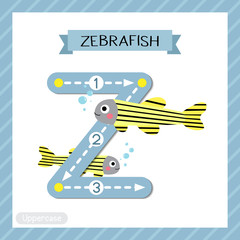Letter Z uppercase tracing. Zebrafish