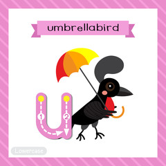 Letter U lowercase tracing. Umbrellabird