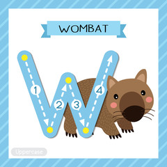 Letter W uppercase tracing. Happy Wombat