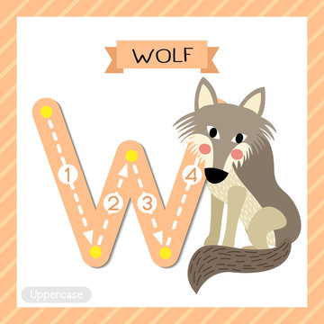 Letter W uppercase tracing. Wolf