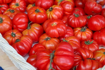 Selective focus Cherry tomatoes are in the rattan container of the plantation farmer