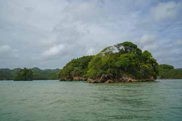 Los Haitises National Park is multicolored tropical birds and manatees. The coast is dotted with small islets where frigates and pelicans nest.Samana peninsula, Dominican Republic.