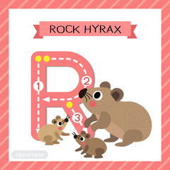 Letter R uppercase tracing. Rock Hyrax family side view