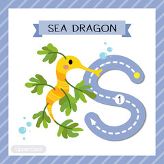 Letter S uppercase tracing. Sea Dragon