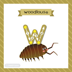 Letter W lowercase tracing. Woodlouse