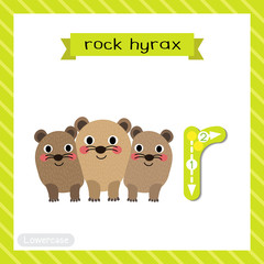 Letter R lowercase tracing. Rock Hyrax family
