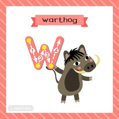 Letter W lowercase tracing. Warthog