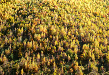 hills in the fall season