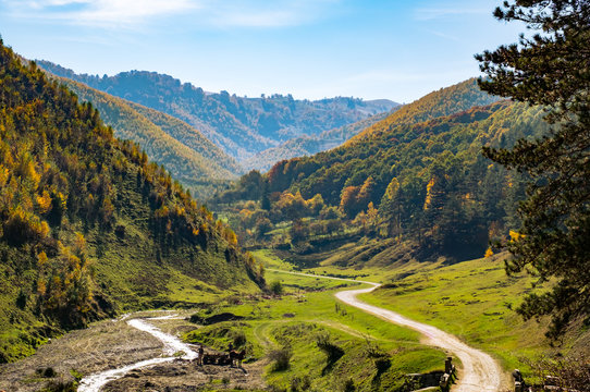 the road between the autumn hills