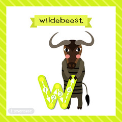 Letter W lowercase tracing. Wildebeest standing on two legs