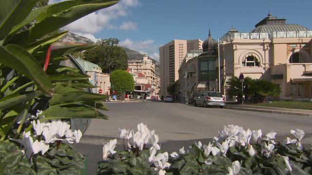 Close-up of white flowers on roadside against Casino Caf� de Paris in city against sky during sunny day - Monte Carlo, Monaco