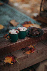 Two vintage green mugs with white marshmallows in hot cocoa. Outdoor peaceful scene.