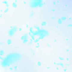 Turquoise flower petals falling down. Resplendent 