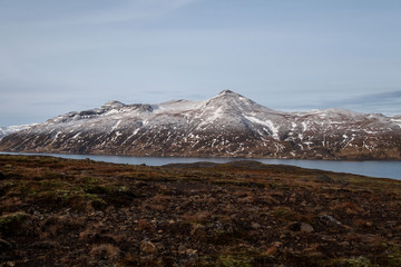 Fototapeta na wymiar Örkin am Reykjarfjörður bei der Ortschaft Djupavik in den isländischen Westfjorden