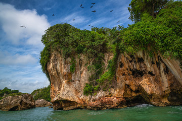 Los Haitises National Park is multicolored tropical birds and manatees. The coast is dotted with small islets where frigates and pelicans nest.Samana peninsula, Dominican Republic.