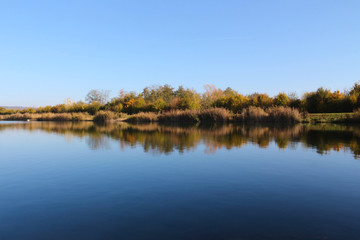 Fototapeta na wymiar Lake shoreline reflecting in the water with a cloudless clear blue sky