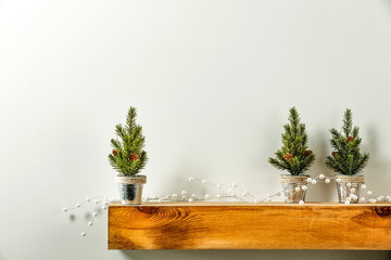 Wooden shelf of free space for your decoration and christmas tree. 