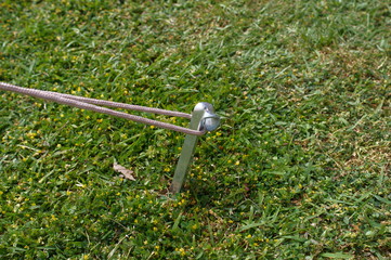 Fix the tent string with pegs