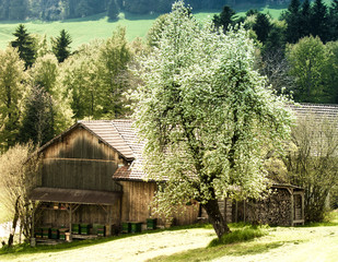 Bauernhaus in Zueri Oberland