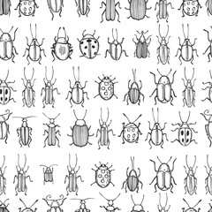 Fototapeta premium Hand drawn beetles on white background. Vector seamless pattern