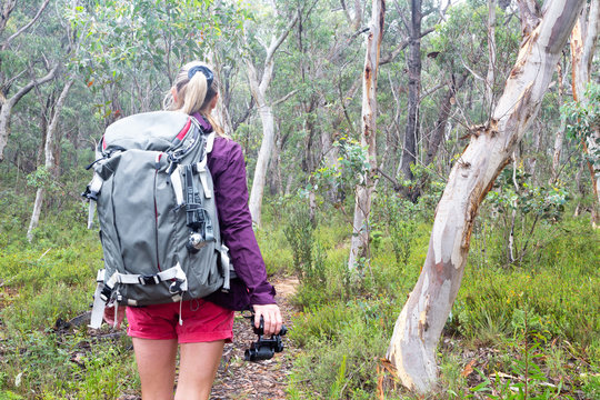 Bushwalking Backpack Bushwalking-Bilder: Stock-Fotos & -Videos. | Adobe Stock