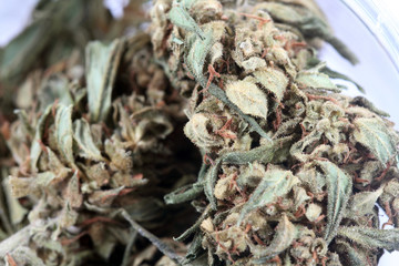 fresh fish in market