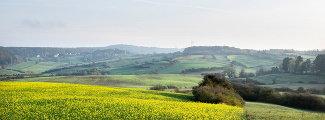 Mustard Seed And Fields Autumn