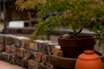写真素材: やきもの散歩道　常滑　お地蔵さん