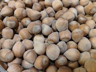 background of hazelnuts