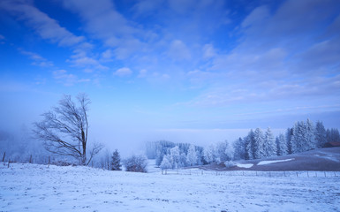 Morgendlicher Ausflug im Winter auf schneebedeckten berg