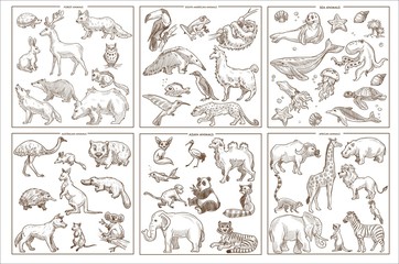 Wild animals species sketch icons birds mammals and amphibians
