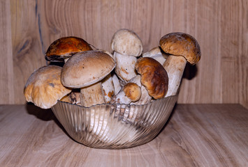 edible porcini mushrooms in a glass bowl