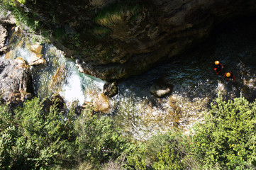 SONY DSC