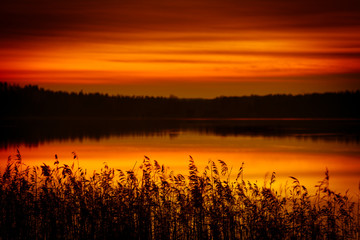 Obraz premium red and dark sunset