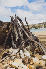 bonfire tree branches on a deserted beach