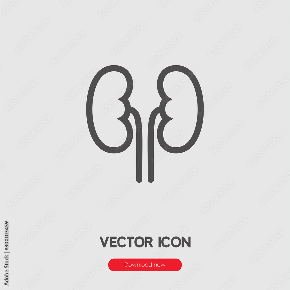 Poster kidney icon vector. linear style sign for mobile concept and web design. kidney symbol illustration.